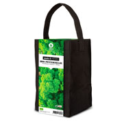 Kit de Cultura Ervas Aromticas - Salsa
